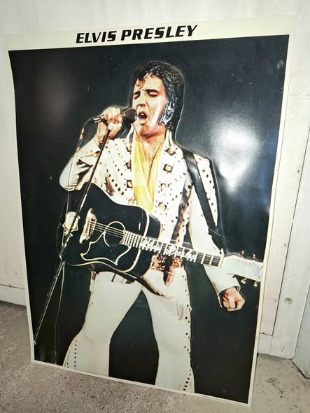 3D-väggrelief i formpressad plast som föreställer Elvis Presley i sin vita konsertkostym med en svart gitarr.
